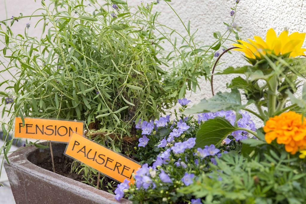 Pension Pauserei Oedheim Екстериор снимка